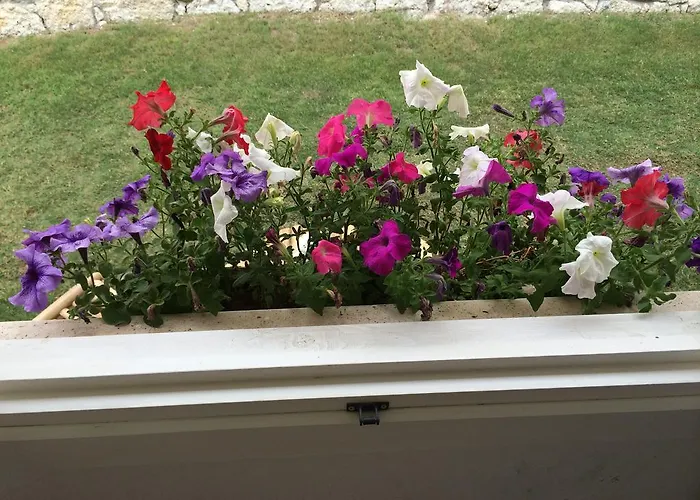 فندق Roka ألاتشاتي