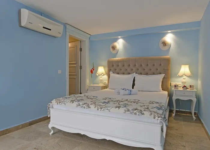 Roka ألاتشاتي