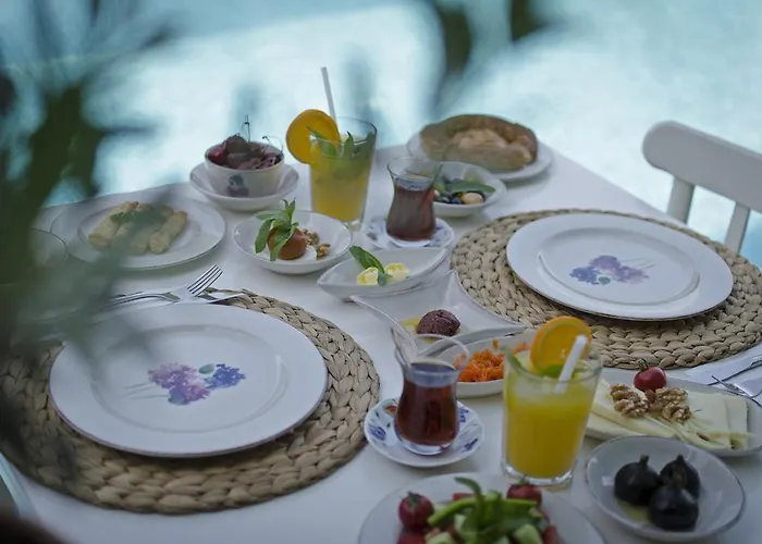 Roka ألاتشاتي